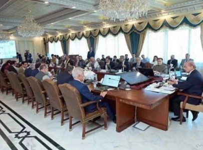govt postpones decision on pti ban in cabinet meeting